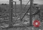 Image of Japanese prisoners Okinawa Ryukyu Islands, 1945, second 34 stock footage video 65675054930