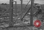 Image of Japanese prisoners Okinawa Ryukyu Islands, 1945, second 35 stock footage video 65675054930
