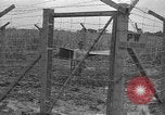 Image of Japanese prisoners Okinawa Ryukyu Islands, 1945, second 38 stock footage video 65675054930