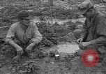 Image of Japanese prisoners Okinawa Ryukyu Islands, 1945, second 46 stock footage video 65675054930