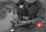 Image of Japanese prisoners Okinawa Ryukyu Islands, 1945, second 48 stock footage video 65675054930