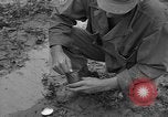 Image of Japanese prisoners Okinawa Ryukyu Islands, 1945, second 49 stock footage video 65675054930