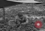 Image of Japanese prisoners Okinawa Ryukyu Islands, 1945, second 56 stock footage video 65675054930