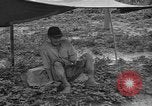 Image of Japanese prisoners Okinawa Ryukyu Islands, 1945, second 58 stock footage video 65675054930