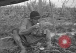 Image of Japanese prisoners Okinawa Ryukyu Islands, 1945, second 60 stock footage video 65675054930