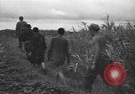 Image of Japanese prisoners Okinawa Ryukyu Islands, 1945, second 13 stock footage video 65675054931