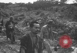Image of Japanese prisoners Okinawa Ryukyu Islands, 1945, second 38 stock footage video 65675054931