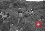 Image of Japanese prisoners Okinawa Ryukyu Islands, 1945, second 60 stock footage video 65675054931