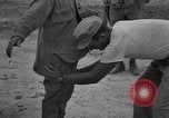 Image of Japanese prisoners Okinawa Ryukyu Islands, 1945, second 29 stock footage video 65675054932