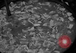 Image of Japanese prisoners Okinawa Ryukyu Islands, 1945, second 7 stock footage video 65675054933