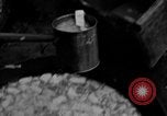 Image of Japanese prisoners Okinawa Ryukyu Islands, 1945, second 12 stock footage video 65675054933