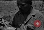 Image of Japanese prisoners Okinawa Ryukyu Islands, 1945, second 27 stock footage video 65675054933