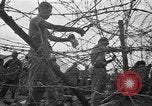 Image of Japanese prisoners Okinawa Ryukyu Islands, 1945, second 59 stock footage video 65675054933