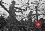 Image of Japanese prisoners Okinawa Ryukyu Islands, 1945, second 60 stock footage video 65675054933