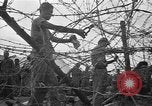 Image of Japanese prisoners Okinawa Ryukyu Islands, 1945, second 61 stock footage video 65675054933
