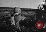 Image invasion de Aguni Okinawa îles Ryukyu, 1945, de la seconde 37 séquences d'archives historiques vidéo 65675054936