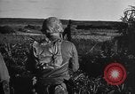 Image invasion de Aguni Okinawa îles Ryukyu, 1945, de la seconde 39 séquences d'archives historiques vidéo 65675054936