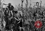 Image le maïs écaler contest Galesburg Illinois USA, 1929, de la seconde 47 séquences d'archives historiques vidéo 65675054943