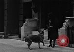 Standbild Hund machen Besorgungen New York City USA, 1929, aus Sekunde 15 historischem Filmmaterial Videoclip 65675054947