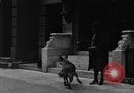 Standbild Hund machen Besorgungen New York City USA, 1929, aus Sekunde 16 historischem Filmmaterial Videoclip 65675054947