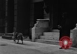 Standbild Hund machen Besorgungen New York City USA, 1929, aus Sekunde 17 historischem Filmmaterial Videoclip 65675054947