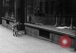 Standbild Hund machen Besorgungen New York City USA, 1929, aus Sekunde 24 historischem Filmmaterial Videoclip 65675054947