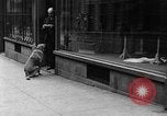 Standbild Hund machen Besorgungen New York City USA, 1929, aus Sekunde 28 historischem Filmmaterial Videoclip 65675054947