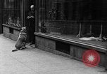 Standbild Hund machen Besorgungen New York City USA, 1929, aus Sekunde 29 historischem Filmmaterial Videoclip 65675054947