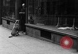 Standbild Hund machen Besorgungen New York City USA, 1929, aus Sekunde 31 historischem Filmmaterial Videoclip 65675054947