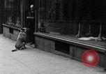 Standbild Hund machen Besorgungen New York City USA, 1929, aus Sekunde 32 historischem Filmmaterial Videoclip 65675054947