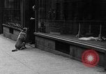 Standbild Hund machen Besorgungen New York City USA, 1929, aus Sekunde 33 historischem Filmmaterial Videoclip 65675054947