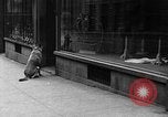 Standbild Hund machen Besorgungen New York City USA, 1929, aus Sekunde 34 historischem Filmmaterial Videoclip 65675054947
