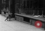 Standbild Hund machen Besorgungen New York City USA, 1929, aus Sekunde 35 historischem Filmmaterial Videoclip 65675054947