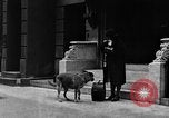Standbild Hund machen Besorgungen New York City USA, 1929, aus Sekunde 51 historischem Filmmaterial Videoclip 65675054947