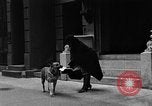 Standbild Hund machen Besorgungen New York City USA, 1929, aus Sekunde 56 historischem Filmmaterial Videoclip 65675054947