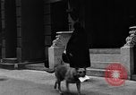 Standbild Hund machen Besorgungen New York City USA, 1929, aus Sekunde 57 historischem Filmmaterial Videoclip 65675054947