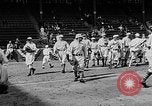 Image of 1930 World Series baseball game 4 Saint Louis Missouri USA, 1930, second 17 stock footage video 65675054963