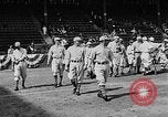 Image of 1930 World Series baseball game 4 Saint Louis Missouri USA, 1930, second 19 stock footage video 65675054963