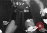 Image of home-made diving bell New Jersey United States USA, 1930, second 40 stock footage video 65675054966