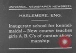 Immagine di La scuola per il canile-cameriere Haslemere Inghilterra, 1930, secondo 1 filmato di repertorio 65675054967