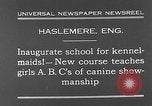 Immagine di La scuola per il canile-cameriere Haslemere Inghilterra, 1930, secondo 3 filmato di repertorio 65675054967