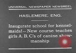 Immagine di La scuola per il canile-cameriere Haslemere Inghilterra, 1930, secondo 4 filmato di repertorio 65675054967