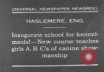 Immagine di La scuola per il canile-cameriere Haslemere Inghilterra, 1930, secondo 6 filmato di repertorio 65675054967