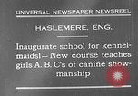 Immagine di La scuola per il canile-cameriere Haslemere Inghilterra, 1930, secondo 7 filmato di repertorio 65675054967