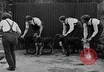 Immagine di La scuola per il canile-cameriere Haslemere Inghilterra, 1930, secondo 41 filmato di repertorio 65675054967