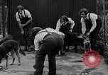 Immagine di La scuola per il canile-cameriere Haslemere Inghilterra, 1930, secondo 44 filmato di repertorio 65675054967