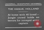 Image lions La Haye Pays-Bas, 1930, de la seconde 3 séquences d'archives historiques vidéo 65675054969