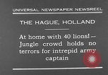 Image lions La Haye Pays-Bas, 1930, de la seconde 4 séquences d'archives historiques vidéo 65675054969