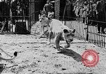 Image lions La Haye Pays-Bas, 1930, de la seconde 11 séquences d'archives historiques vidéo 65675054969