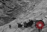 Image dynamite blast Colorado United States USA, 1930, de la seconde 24 séquences d'archives historiques vidéo 65675054978